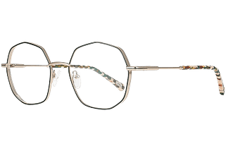 CM489 - L'Ambassadrice